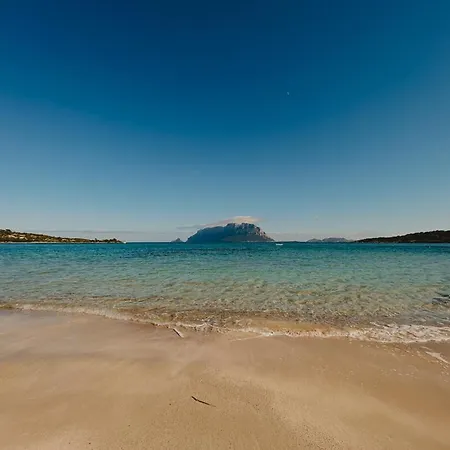 Appartamento Appartamento Porto Istana *
